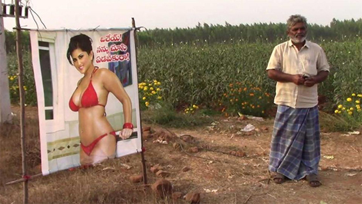 ‘To ward off evil eye’: Andhra farmer puts up Sunny Leone poster to keep crop safe